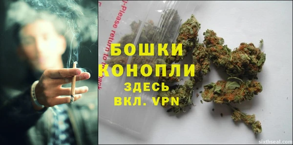 PSILOCYBIN Сафоново