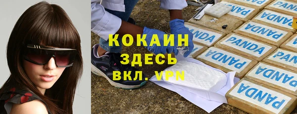 дживик Алексин