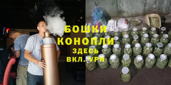 PSILOCYBIN Сафоново