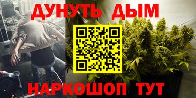 тгк Кингисепп