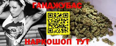 тгк Кингисепп