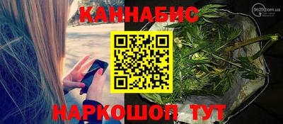 тгк Кингисепп