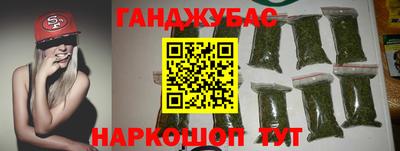 тгк Кингисепп