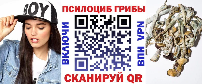 Галлюциногенные грибы ЛСД  где найти наркотики  Серов 