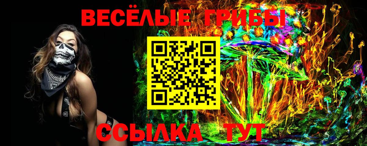 Галлюциногенные грибы мицелий Серов