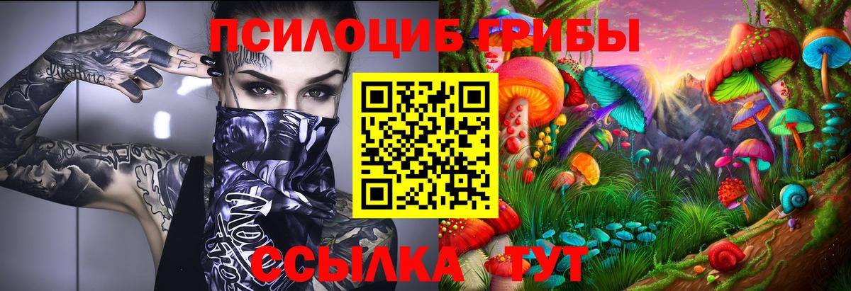 Псилоцибиновые грибы MAGIC MUSHROOMS  Вход с VPN  Серов 